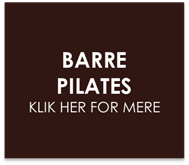 Barre Pilates Knap